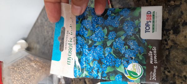Identificação da planta miosótis por foto