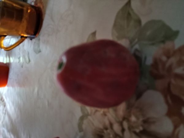 Identificação da planta Jambo por foto