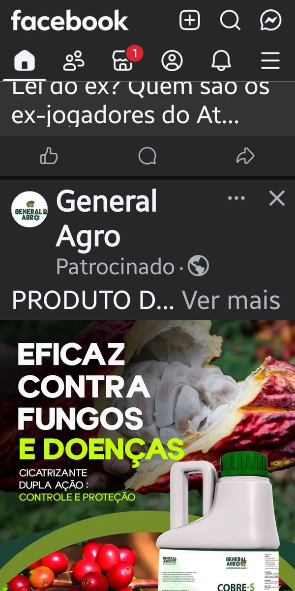 Identificação da planta Cacau por foto