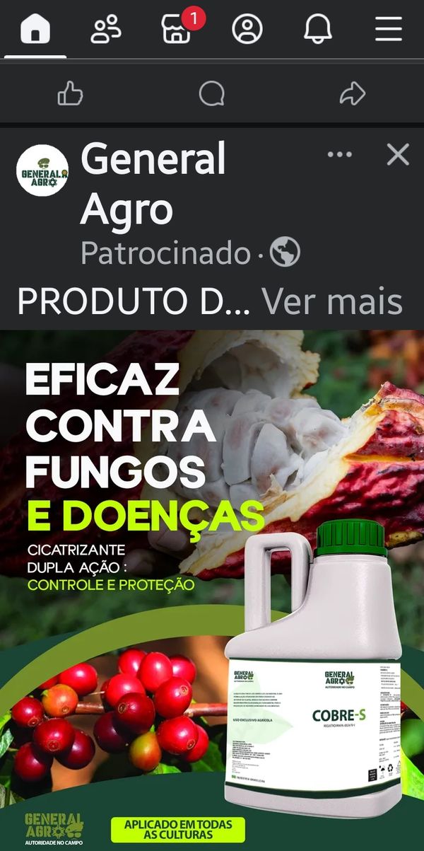Identificação da planta Cacau por foto
