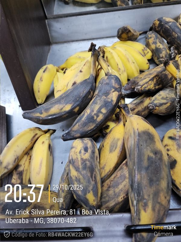 Identificação da planta Bananeira por foto
