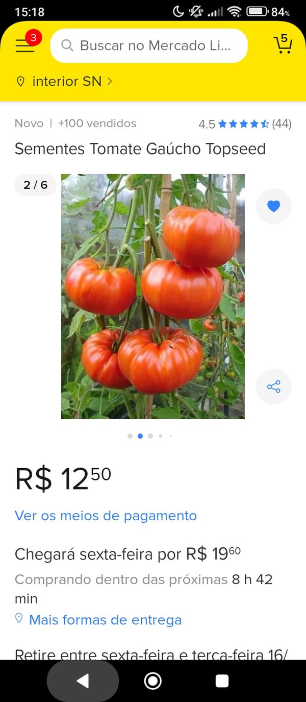 Identificação da planta Tomate por foto