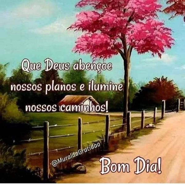 Identificação da planta Canafístula por foto