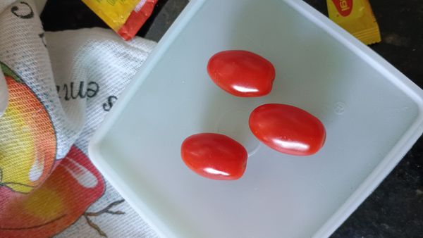 Identificação da planta Tomate por foto