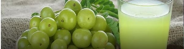 Identificação da planta Amla por foto
