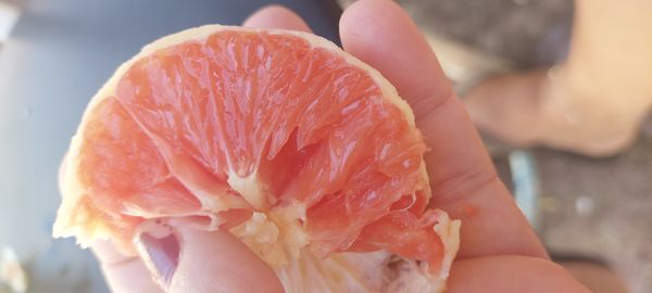 Identificação da planta Toranja por foto