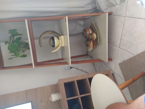 Identificação da planta Imbé por foto