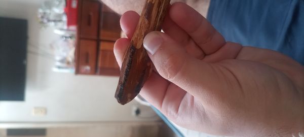 Identificação da planta Andiroba por foto