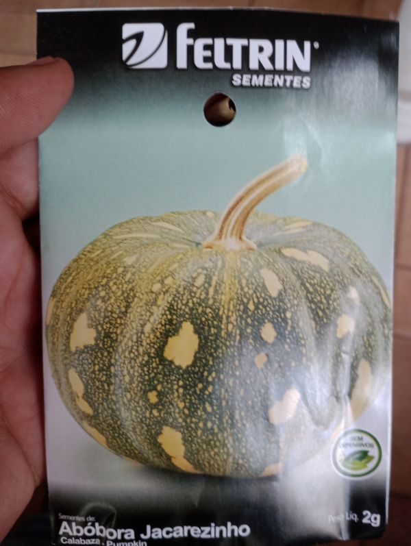Identificação da planta Abóbora moranga por foto