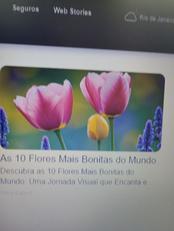 Identificação da planta Tulipa por foto
