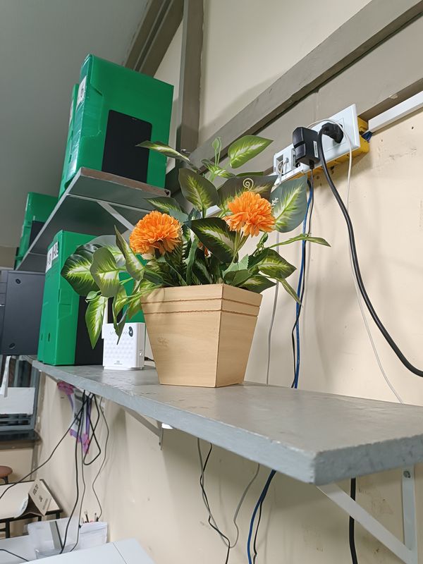 Identificação da planta Cártamo por foto
