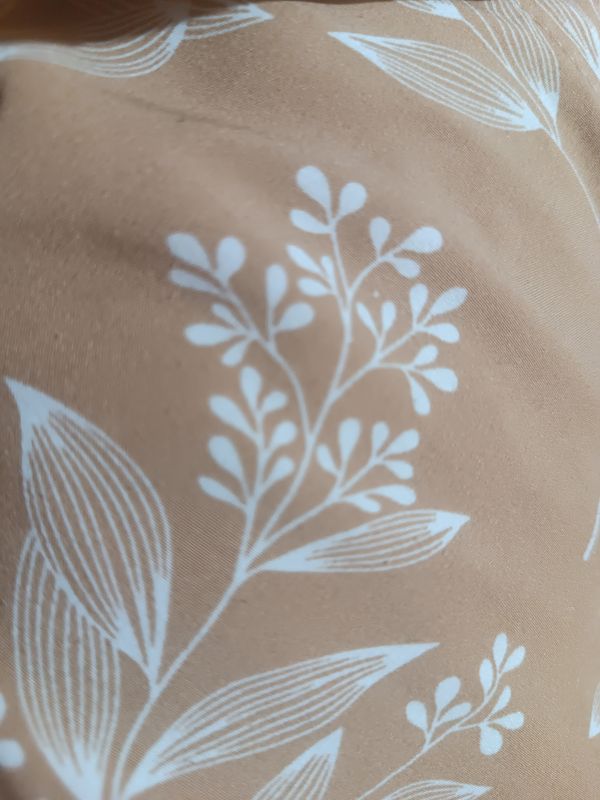 Identificação da planta Meadowfoam por foto