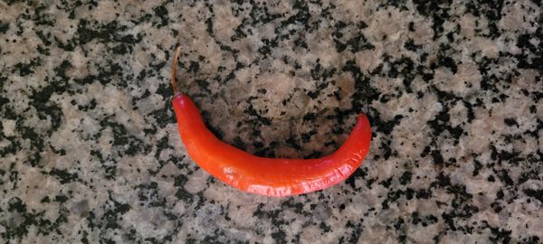 Identificação da planta Pimenta-de-cheiro por foto