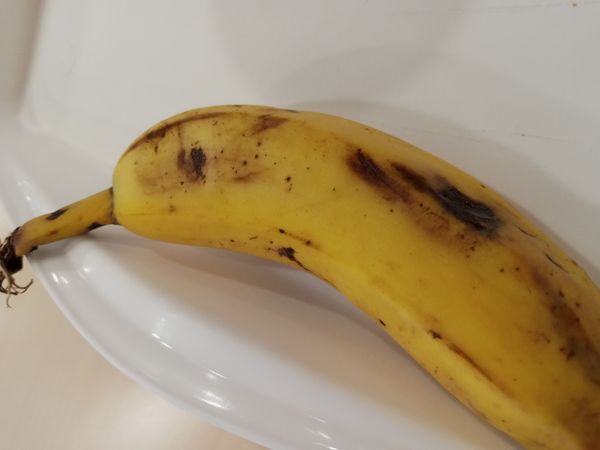 Identificação da planta Bananeira por foto