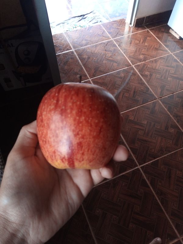 Identificação da planta Maçã por foto