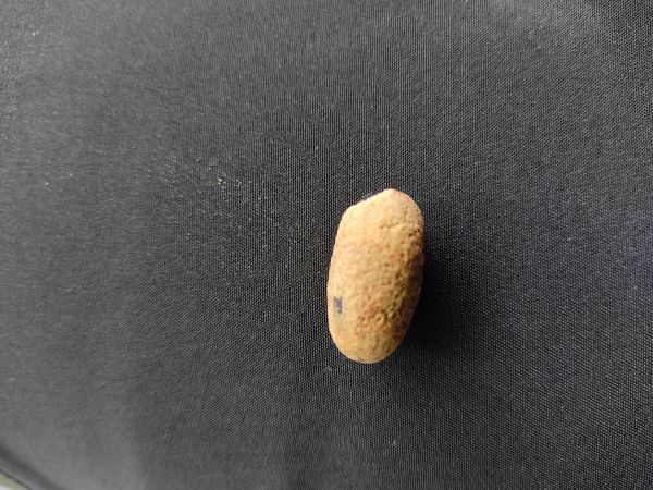 Identificação da planta Espinheira por foto