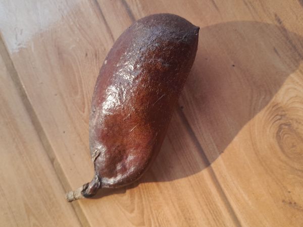 Identificação da planta Jatobá por foto