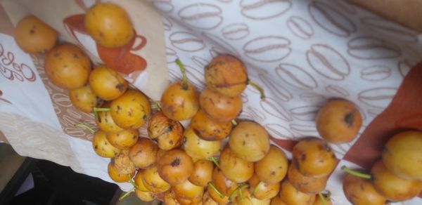 Identificação da planta Bacupari por foto