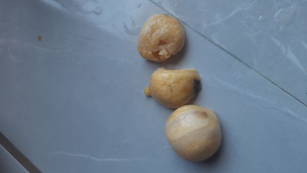 Identificação da planta Ginkgo por foto