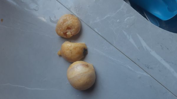 Identificação da planta Ginkgo por foto