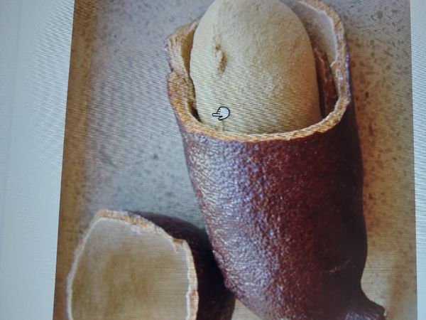 Identificação da planta Jatobá por foto