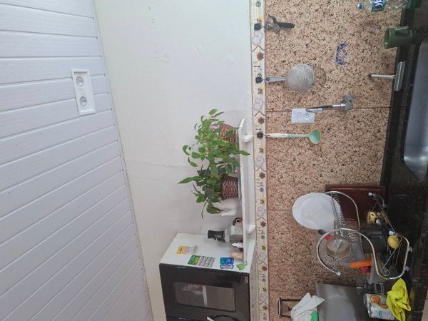 Identificação da planta Malagueta por foto