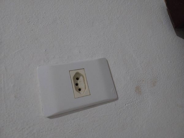 Identificação da planta alho-de-campo por foto