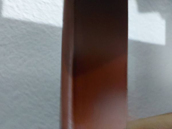 Identificação da planta Não possui nome popular no Brasil por foto