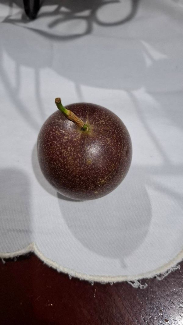Identificação da planta Maracujá por foto