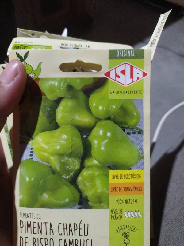 Identificação da planta Pimenta-de-cheiro por foto