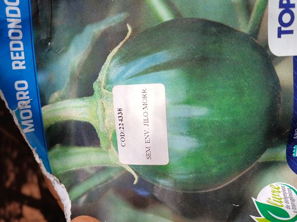 Identificação da planta Berinjela por foto