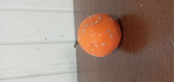 Identificação da planta Mexerica por foto