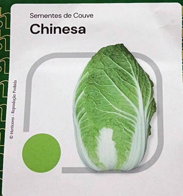 Identificação da planta Couve por foto