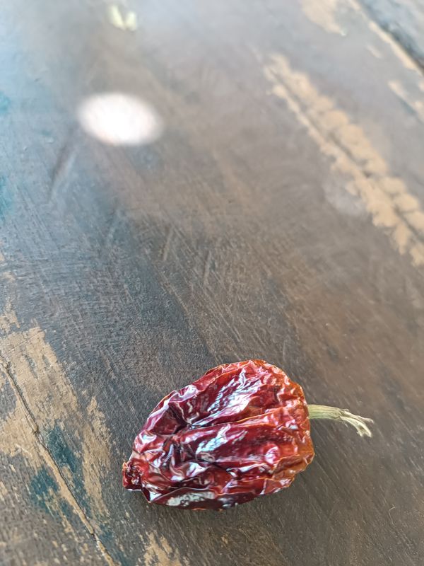 Identificação da planta Pimenta-de-cheiro por foto