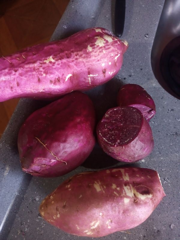 Identificação da planta Batata-doce por foto