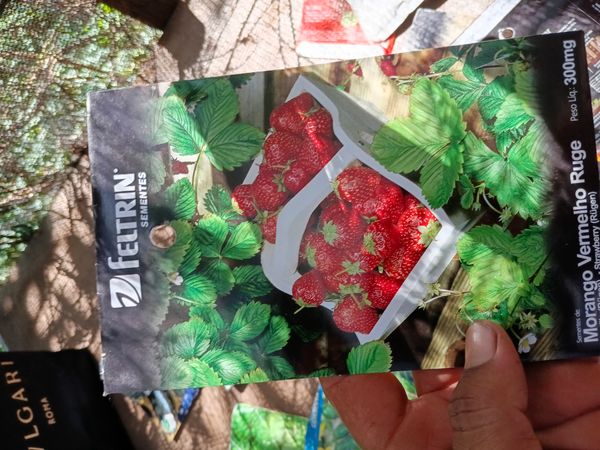 Identificação da planta Morango por foto