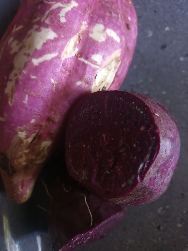 Identificação da planta Berinjela por foto