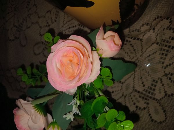 Identificação da planta Lisianthus por foto
