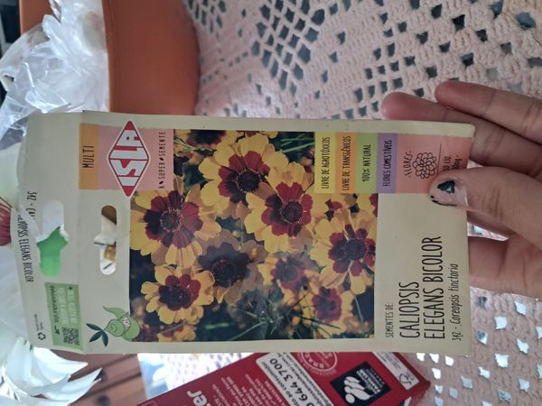 Identificação da planta Margarida-dourada por foto