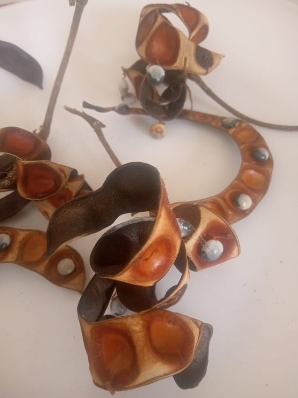 Identificação da planta Ingá-ferradura por foto