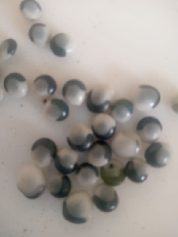 Identificação da planta Jiquiriti por foto