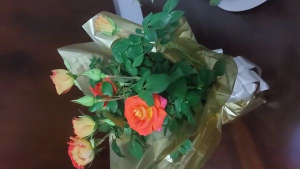 Identificação da planta Rosa por foto
