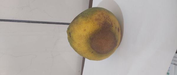 Identificação da planta Pomelo por foto