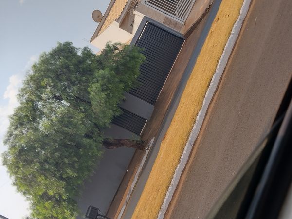 Identificação da planta Tamarisco por foto