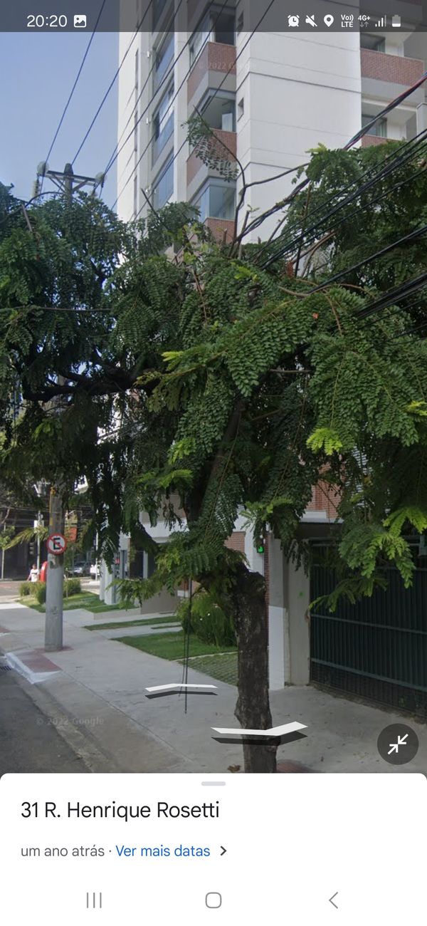 Identificação da planta Sibipiruna por foto