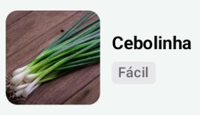 Identificação da planta Cebolinha por foto