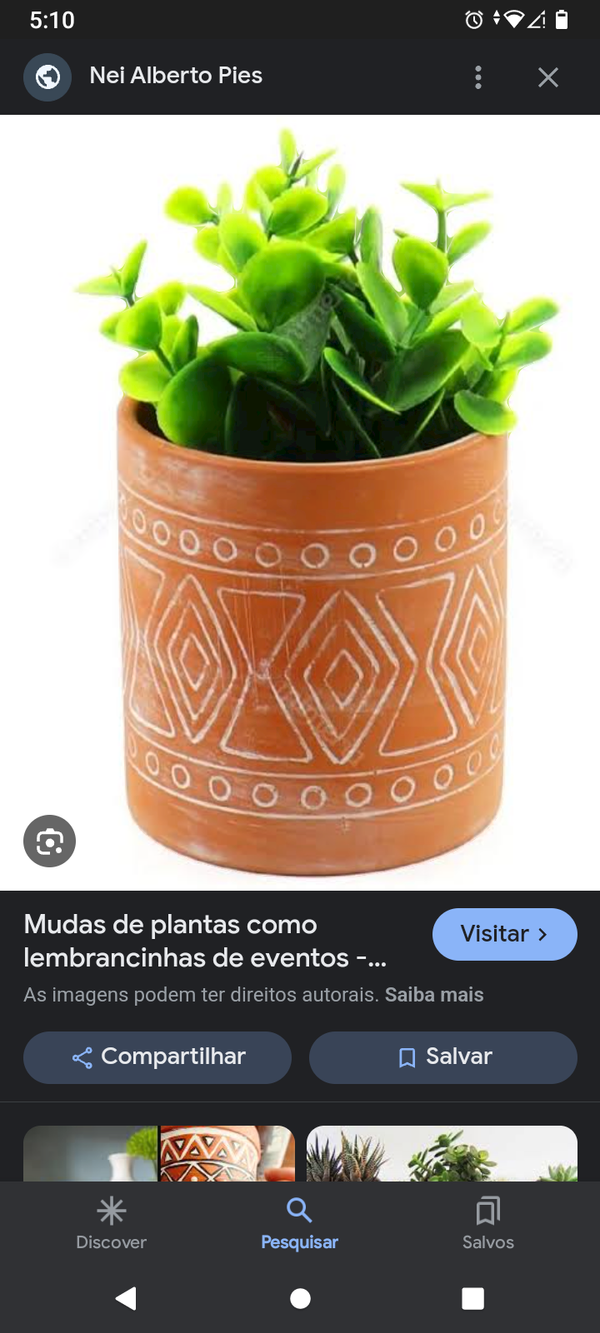 Identificação da planta Anúbia por foto