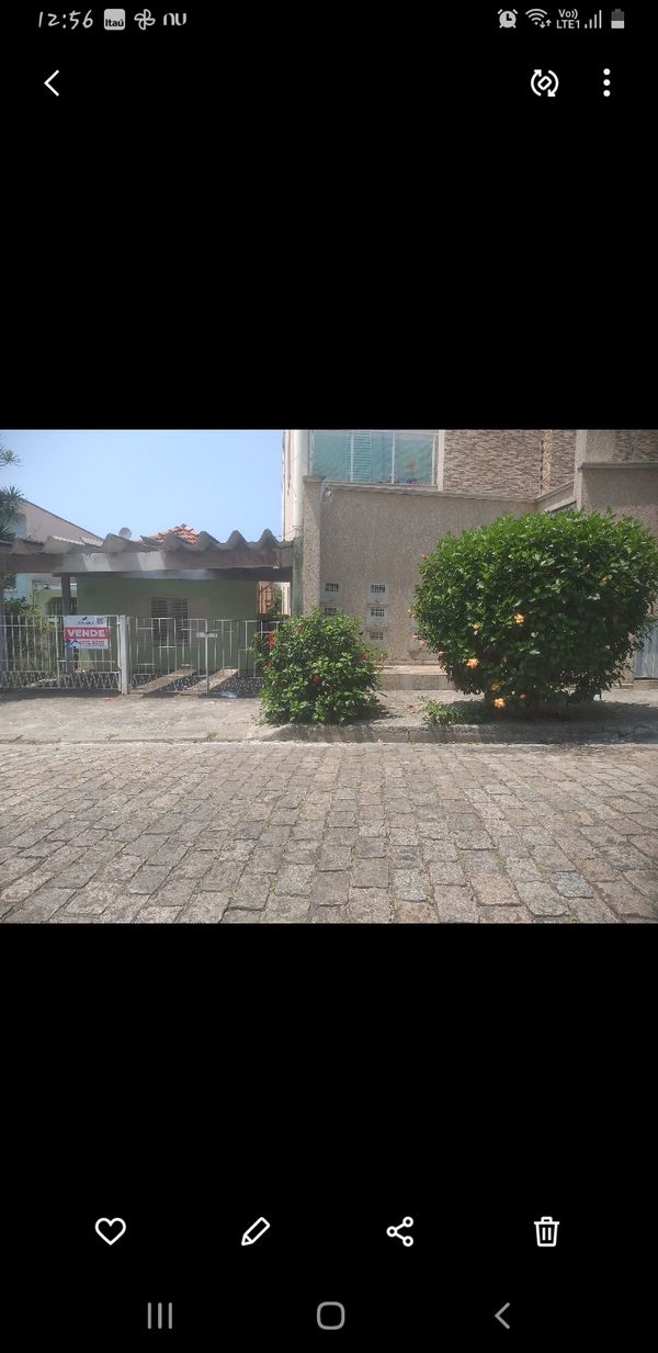 Identificação da planta Hibisco por foto
