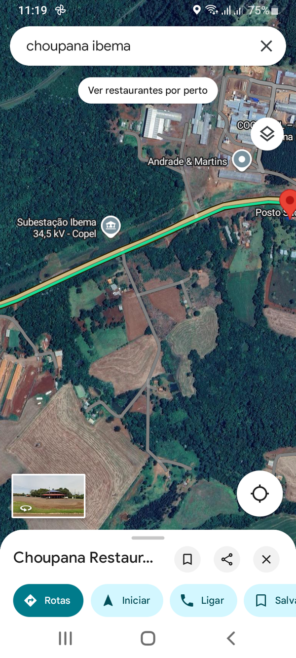Identificação da planta açoita-cavalo por foto