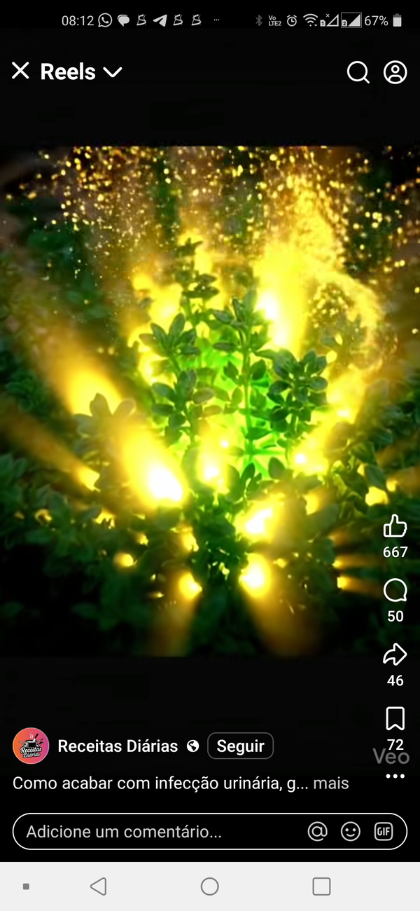 Identificação da planta Tomilho-limão por foto